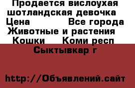 Продается вислоухая шотландская девочка › Цена ­ 8 500 - Все города Животные и растения » Кошки   . Коми респ.,Сыктывкар г.